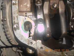 DSCN1584-12.JPG