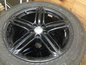 IMG_3443.jpg