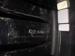 IMG_3445.jpg
