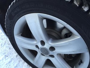 IMG_2095.jpg