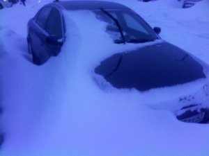 IMG_20160113_100827.jpg