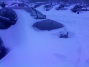 IMG_20160113_100835.jpg