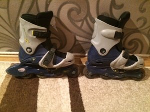 IMG_5287.JPG