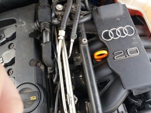 ^0AF90121E4F42449585E6CFFA02F4FA3A8E8ADE4B84D6B5FD0^pimgpsh_fullsize_distr.jpg