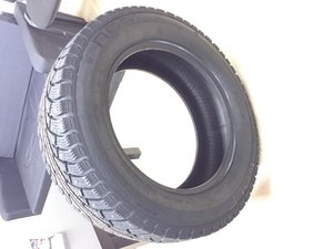 IMG_3954.jpg