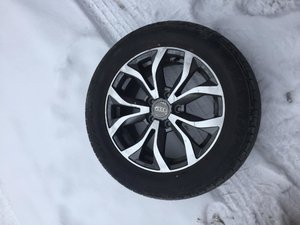 IMG_0090.jpg