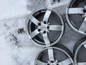 IMG_0098.jpg
