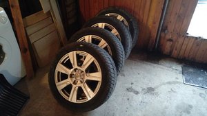 IMAG0555.jpg