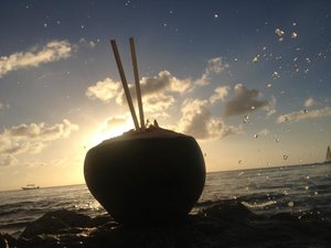 IMG_2870.jpg