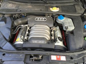 IMG_0616.jpg