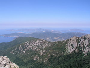 229.jpg