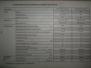 P9140096_resize.JPG