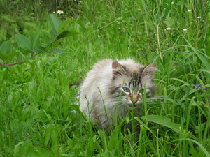DSCN0050-1.jpg
