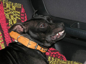 DSCN0543-1.jpg