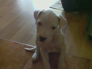 Image(03).jpg