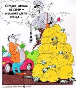 гаи.jpg