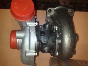 09072008055 (Большой).jpg