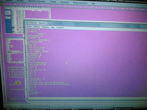 Image(317).jpg