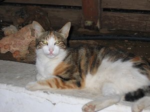 IMG_1994.JPG