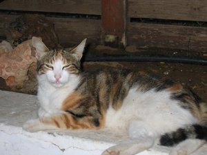 IMG_1995.JPG
