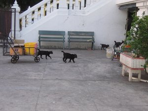 IMG_2956.JPG