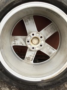 IMG_1766.jpg
