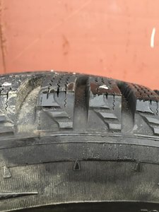 IMG_1768.jpg