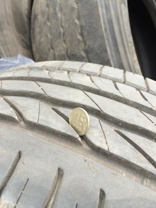 IMG_0221.jpg