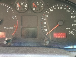 IMG_0545.jpg