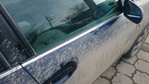 DSC_5907.jpg