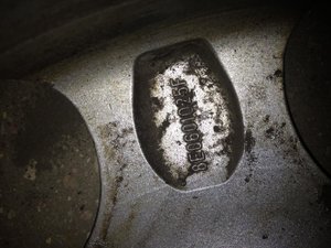 IMG_3535.jpg