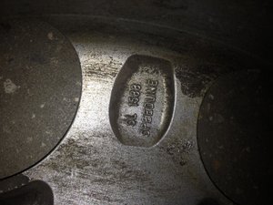 IMG_3537.jpg