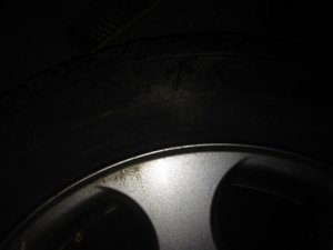 IMG_3541.jpg