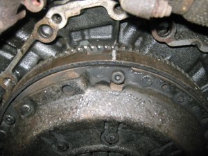 IMG_1645.jpg