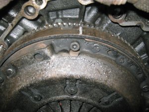 IMG_1646.jpg