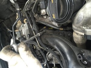 IMG_0162.jpg