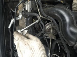 IMG_0164.jpg