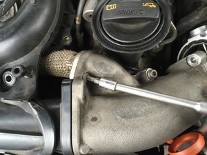 IMG_0173.jpg