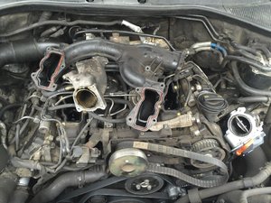 IMG_0174.jpg