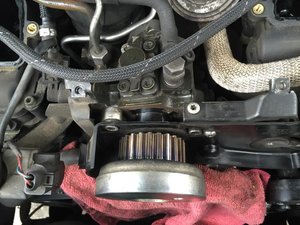 IMG_0182.jpg
