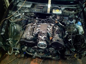 IMG_20160221_162343.jpg