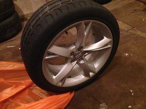IMG_6387.jpg