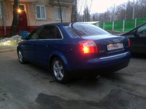 IMG_2385.jpg