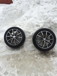 IMG_2715.jpg