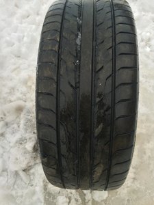 IMG_2719.jpg