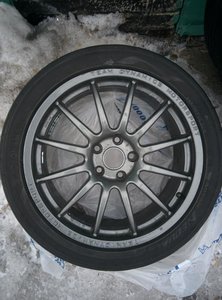 IMG_20160220_130931.jpg