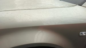 IMAG0743.jpg