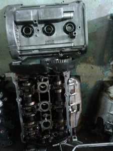 IMG_20160229_130238.jpg
