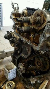 20160303_164419-480x853.jpg