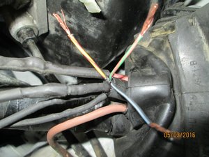 IMG_0783.JPG